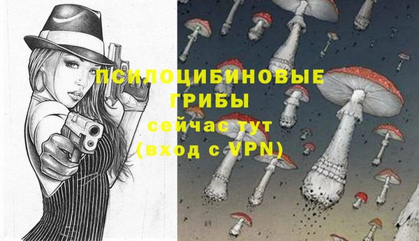 мескалин Арсеньев