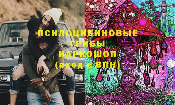 бошки Армянск