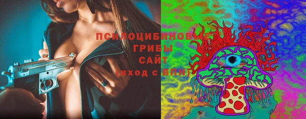 бошки Армянск